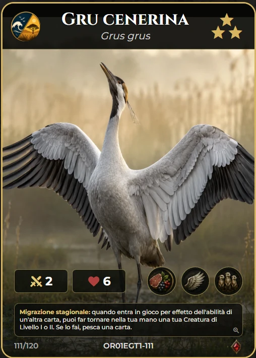 Carta Gru Cenerina di Oranthia Origins